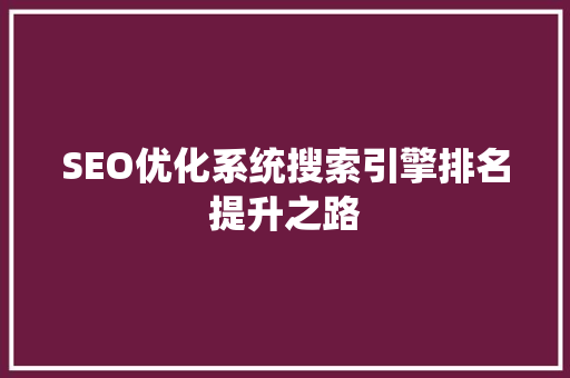SEO优化系统搜索引擎排名提升之路  第1张