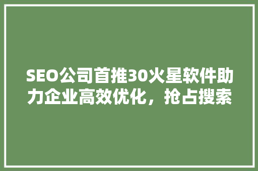 SEO公司首推30火星软件助力企业高效优化，抢占搜索引擎排名制高点