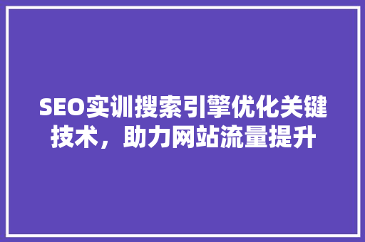 SEO实训搜索引擎优化关键技术，助力网站流量提升