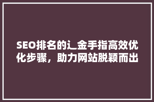 SEO排名的辶金手指高效优化步骤，助力网站脱颖而出