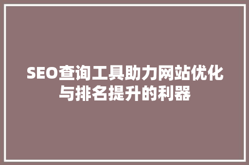 SEO查询工具助力网站优化与排名提升的利器