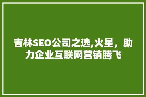 吉林SEO公司之选,火星，助力企业互联网营销腾飞  第1张