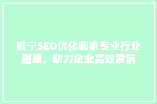 咸宁SEO优化哪家专业行业翘楚，助力企业高效营销