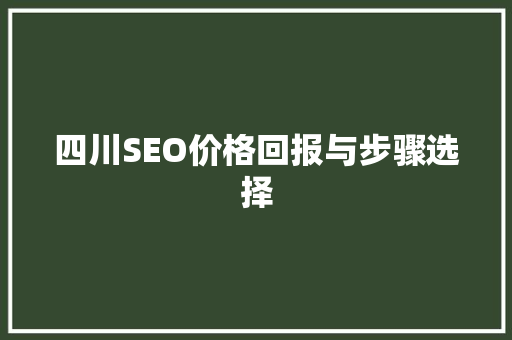 四川SEO价格回报与步骤选择