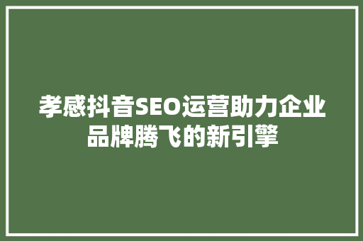 孝感抖音SEO运营助力企业品牌腾飞的新引擎
