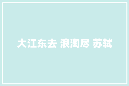 宁波SEO推广服务商助力企业在线上市场竞争的得力助手