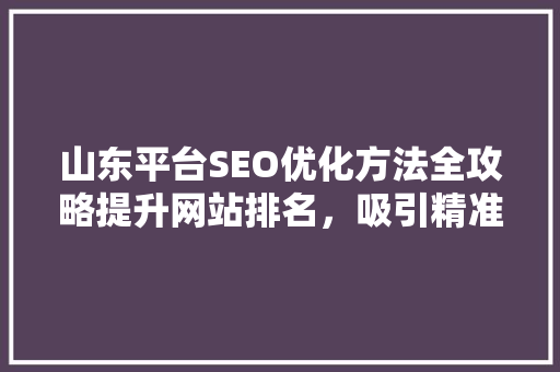 山东平台SEO优化方法全攻略提升网站排名，吸引精准流量