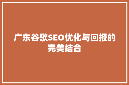 广东谷歌SEO优化与回报的完美结合