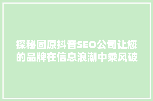 探秘固原抖音SEO公司让您的品牌在信息浪潮中乘风破浪