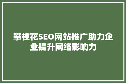 攀枝花SEO网站推广助力企业提升网络影响力