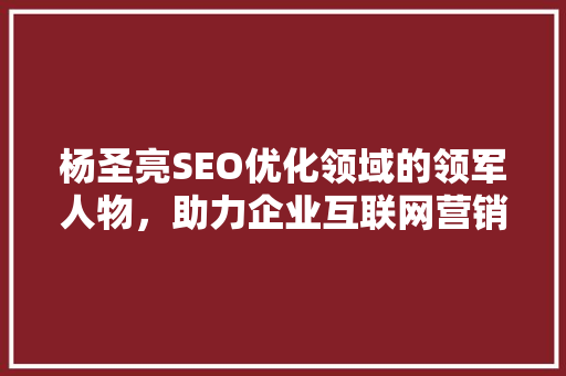 杨圣亮SEO优化领域的领军人物，助力企业互联网营销