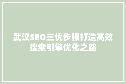 武汉SEO三优步骤打造高效搜索引擎优化之路