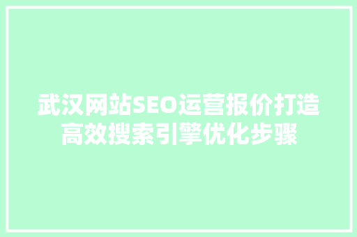 武汉网站SEO运营报价打造高效搜索引擎优化步骤