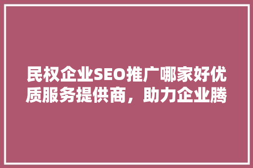 民权企业SEO推广哪家好优质服务提供商，助力企业腾飞