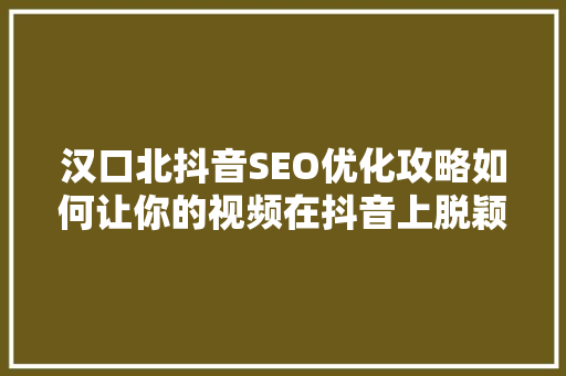 汉口北抖音SEO优化攻略如何让你的视频在抖音上脱颖而出