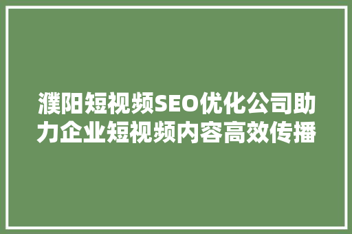 濮阳短视频SEO优化公司助力企业短视频内容高效传播  第1张