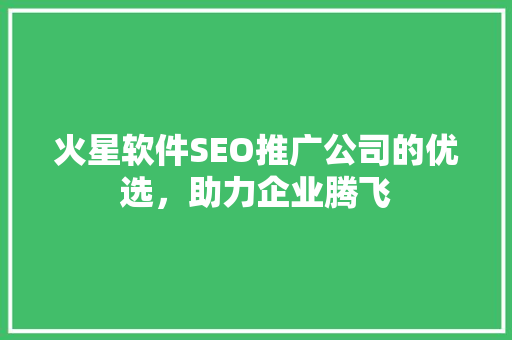 火星软件SEO推广公司的优选，助力企业腾飞