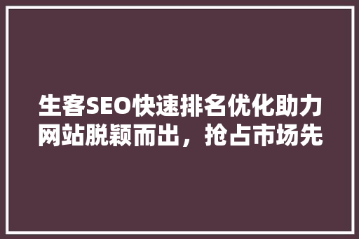 生客SEO快速排名优化助力网站脱颖而出，抢占市场先机