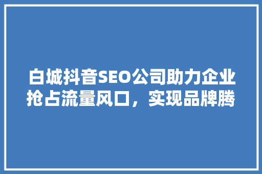 白城抖音SEO公司助力企业抢占流量风口，实现品牌腾飞  第1张