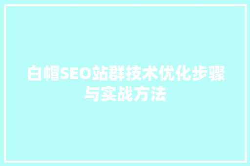 白帽SEO站群技术优化步骤与实战方法  第1张
