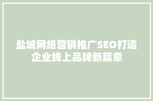 盐城网络营销推广SEO打造企业线上品牌新篇章  第1张