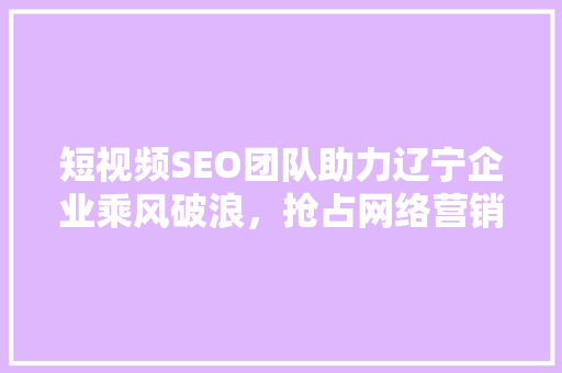 短视频SEO团队助力辽宁企业乘风破浪，抢占网络营销制高点