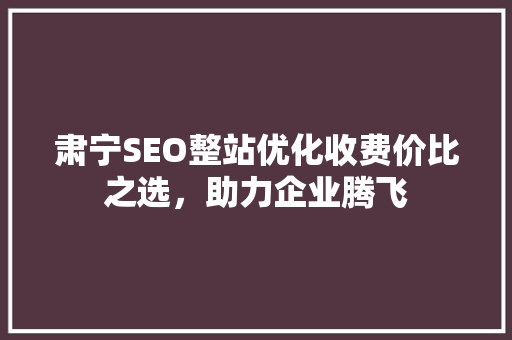 肃宁SEO整站优化收费价比之选，助力企业腾飞  第1张