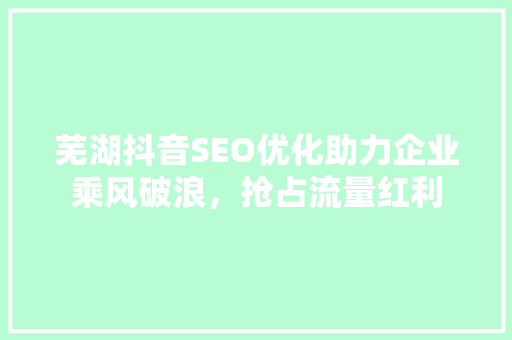 芜湖抖音SEO优化助力企业乘风破浪，抢占流量红利