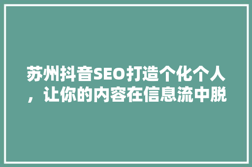 苏州抖音SEO打造个化个人，让你的内容在信息流中脱颖而出