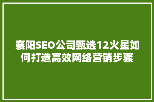 襄阳SEO公司甄选12火星如何打造高效网络营销步骤