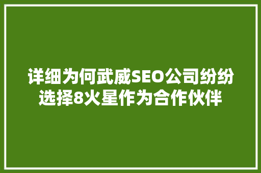 详细为何武威SEO公司纷纷选择8火星作为合作伙伴  第1张