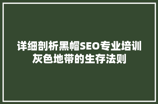 详细剖析黑帽SEO专业培训灰色地带的生存法则