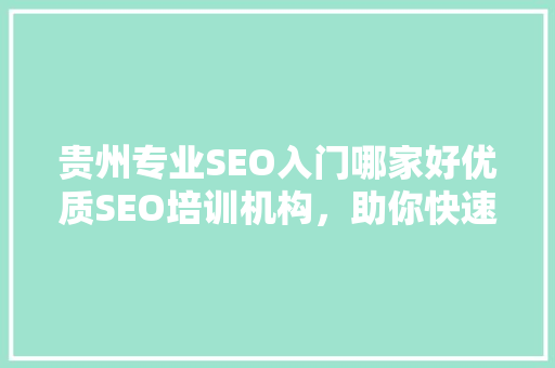 贵州专业SEO入门哪家好优质SEO培训机构，助你快速入门