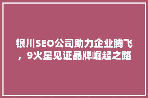银川SEO公司助力企业腾飞，9火星见证品牌崛起之路