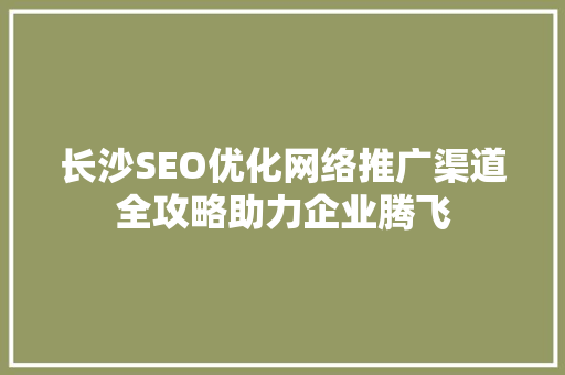 长沙SEO优化网络推广渠道全攻略助力企业腾飞