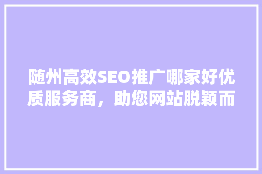 随州高效SEO推广哪家好优质服务商，助您网站脱颖而出