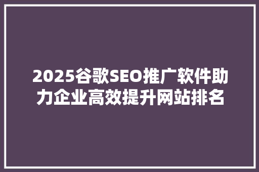 2025谷歌SEO推广软件助力企业高效提升网站排名