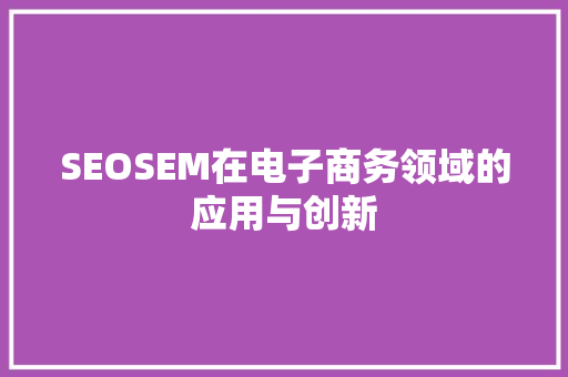 SEOSEM在电子商务领域的应用与创新