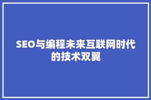 SEO与编程未来互联网时代的技术双翼