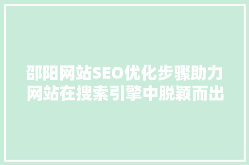 邵阳网站SEO优化步骤助力网站在搜索引擎中脱颖而出