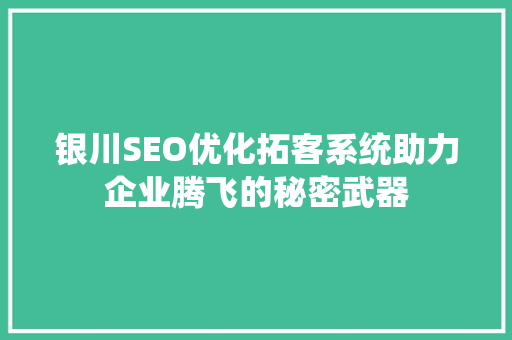 银川SEO优化拓客系统助力企业腾飞的秘密武器  第1张