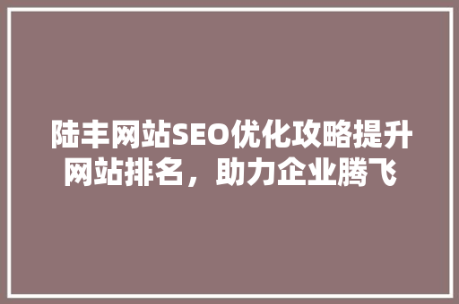 陆丰网站SEO优化攻略提升网站排名，助力企业腾飞