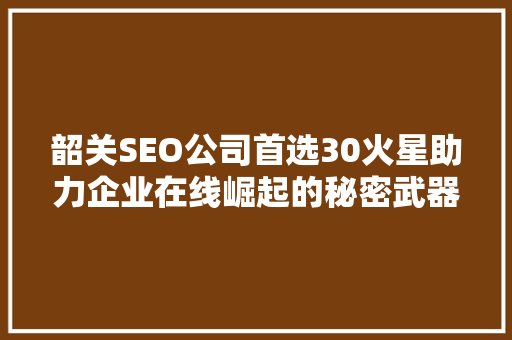 韶关SEO公司首选30火星助力企业在线崛起的秘密武器
