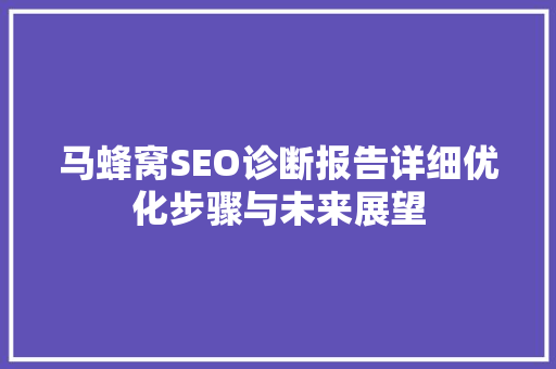 马蜂窝SEO诊断报告详细优化步骤与未来展望
