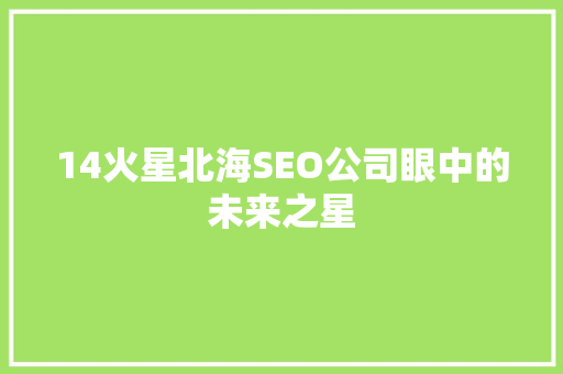 14火星北海SEO公司眼中的未来之星
