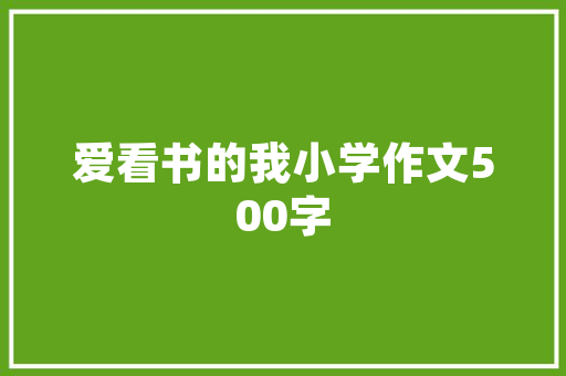 8火星软件网站SEO优化利器，助力企业提升在线竞争力