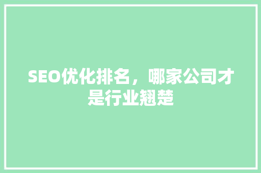 SEO优化排名，哪家公司才是行业翘楚