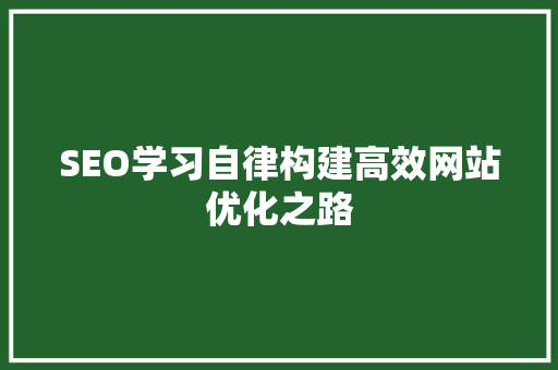 SEO学习自律构建高效网站优化之路
