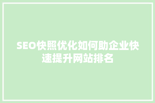 SEO快照优化如何助企业快速提升网站排名
