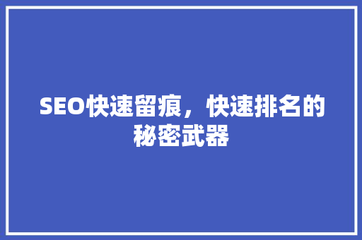 SEO快速留痕，快速排名的秘密武器